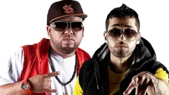 ñejo y dalmata